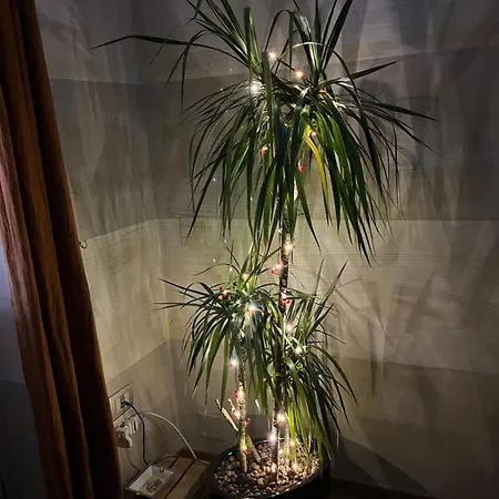 Finestra Sul Mare باري