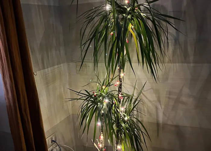 Finestra Sul Mare Барі